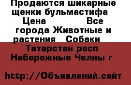 Продаются шикарные щенки бульмастифа › Цена ­ 45 000 - Все города Животные и растения » Собаки   . Татарстан респ.,Набережные Челны г.